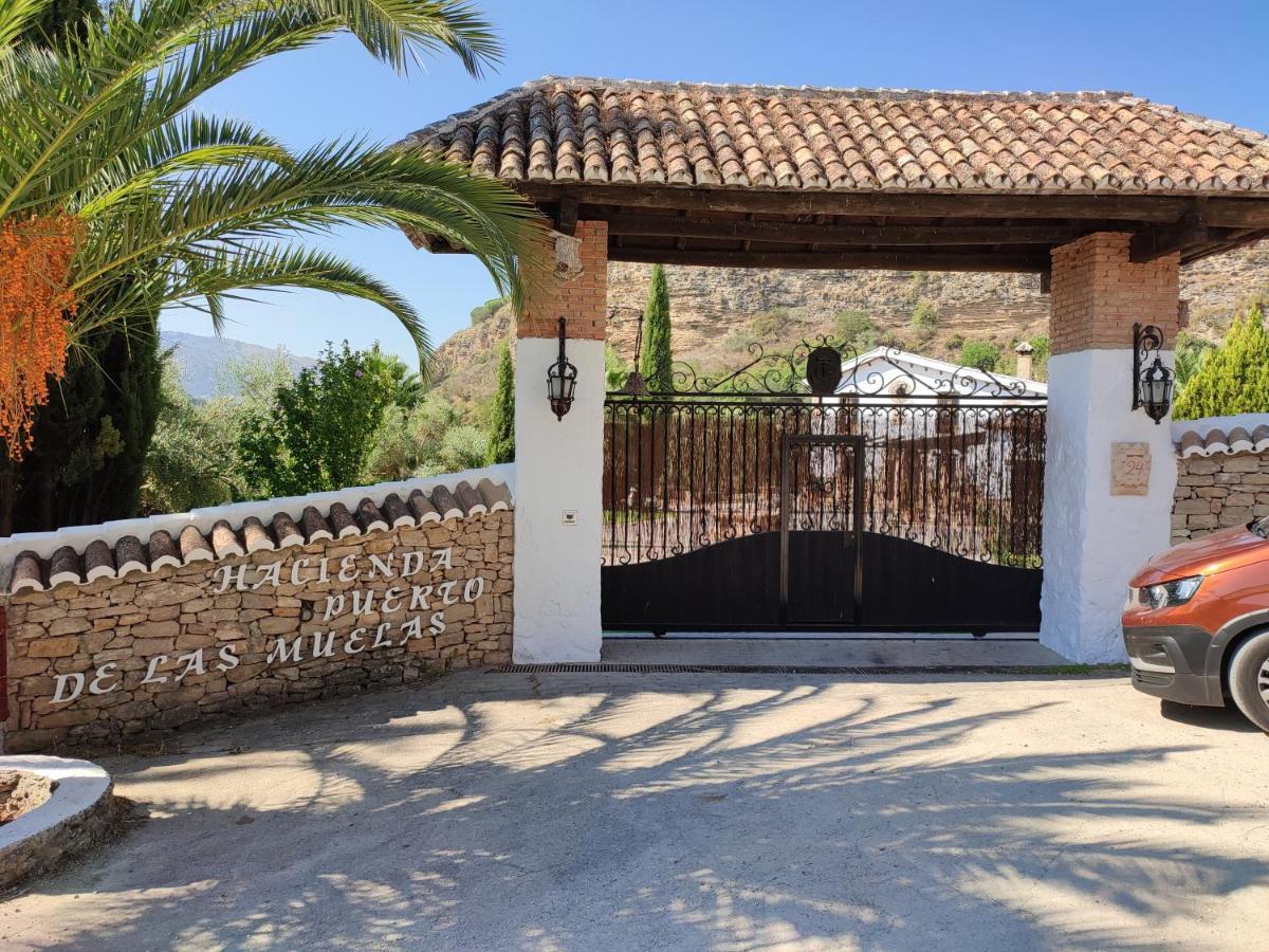 Hacienda Puerto De Las Muelas Ронда Екстериор снимка